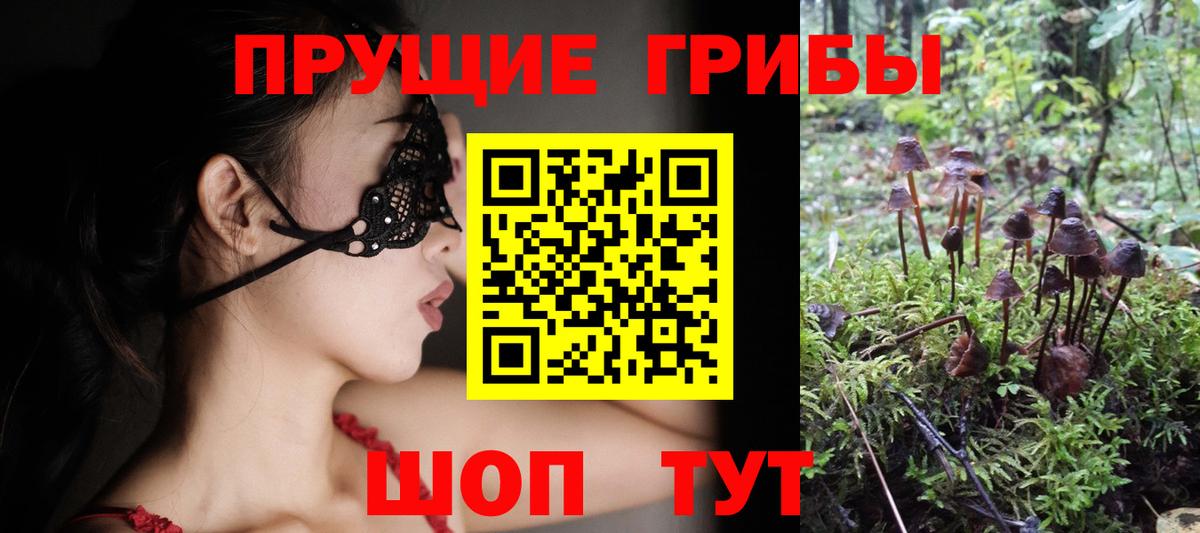 Псилоцибиновые грибы Magic Shrooms Екатеринбург