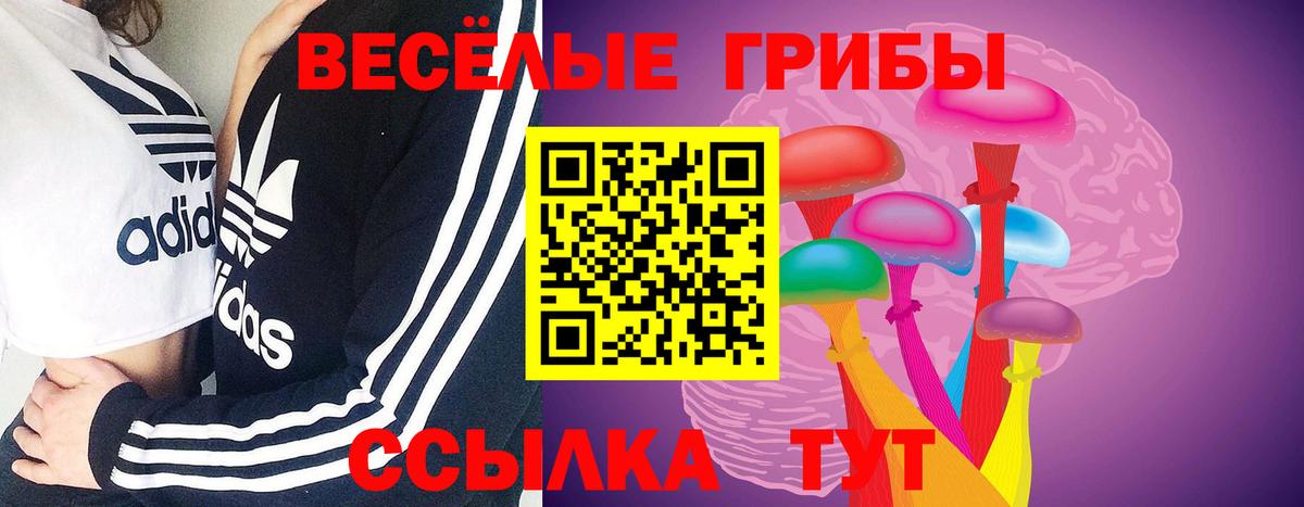 Псилоцибиновые грибы GOLDEN TEACHER  Вход с VPN  Екатеринбург 